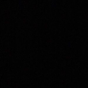 Meet your Posher, Ricky